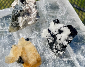 Tourmaline Crystal Clusters Set of 3