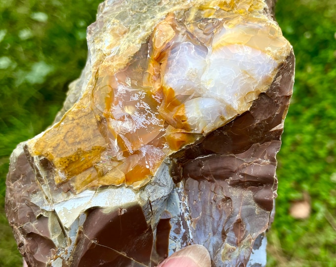 Old Stock Oregon Opal in Rhyolite Jasper Mineral Display Specimen 3.41 lbs