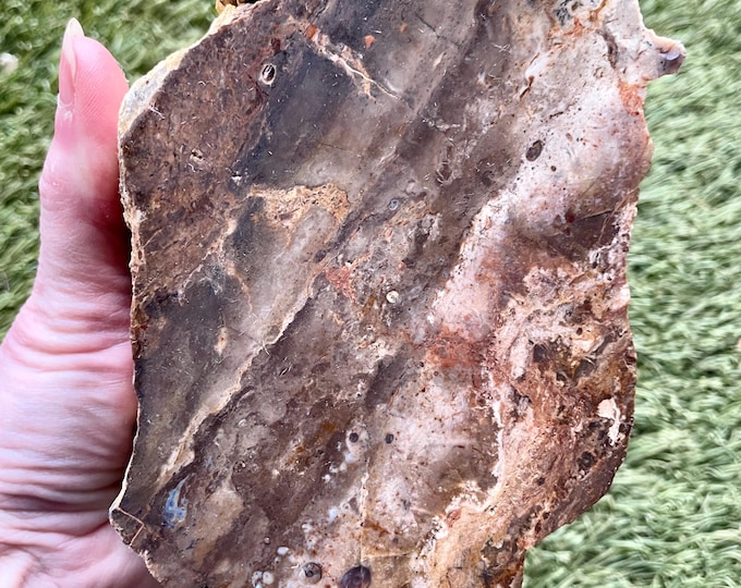 Oregon Picture Jasper Rough Lapidary Mineral Specimen 3.28 lbs
