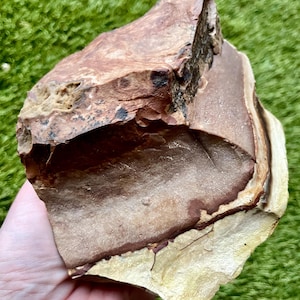 Biggs Picture Jasper Rough Lapidary Mineral Specimen 1.83 lbs