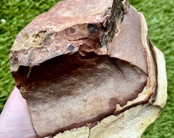 Biggs Picture Jasper Rough Lapidary Mineral Specimen 1.83 lbs
