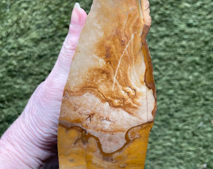 3.08 lb Biggs Picture Jasper Rough cut Lapidary Mineral Specimen