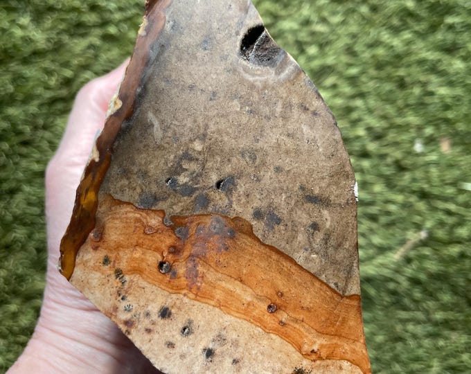 3.25 lb Blue Biggs Picture Jasper Rough Cut Lapidary Mineral Specimen