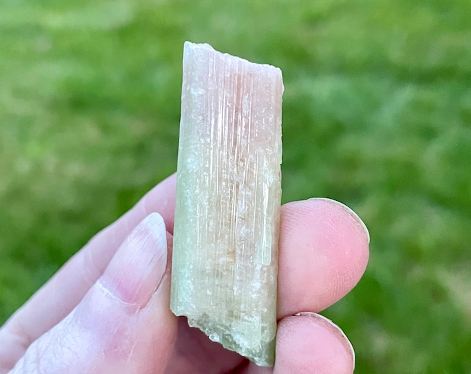 19.37g Watermelon Tourmaline Crystal