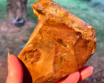 Biggs Picture Jasper Rough Lapidary Mineral Specimen 1.08 lbs
