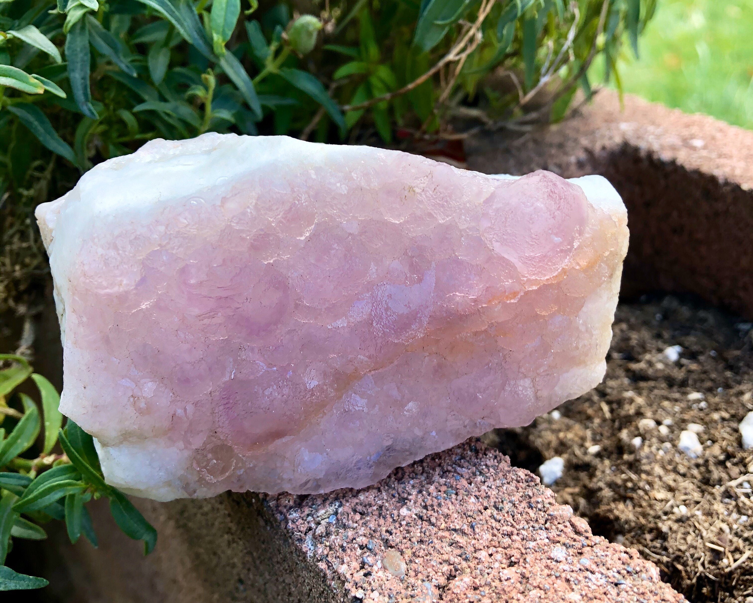 Pink Irregular Fluorite Crystal Cluster Specimen on White Quartz Matrix