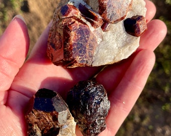 Red Garnet in Matrix Crystal Mineral Display Specimens Set of 3