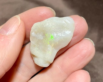 4.37g Opalized Shell Rough Display Specimen