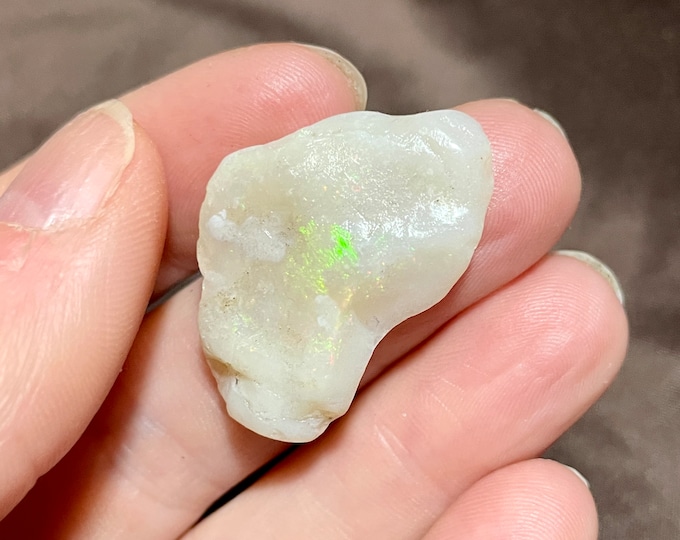 4.37g Opalized Shell Rough Display Specimen