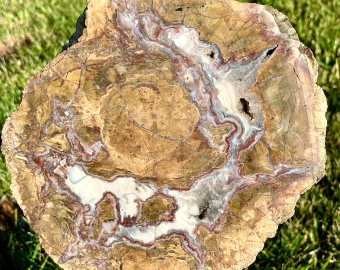 Thunder Egg End Cut Mmineral Display Specimen 3.11 lbs