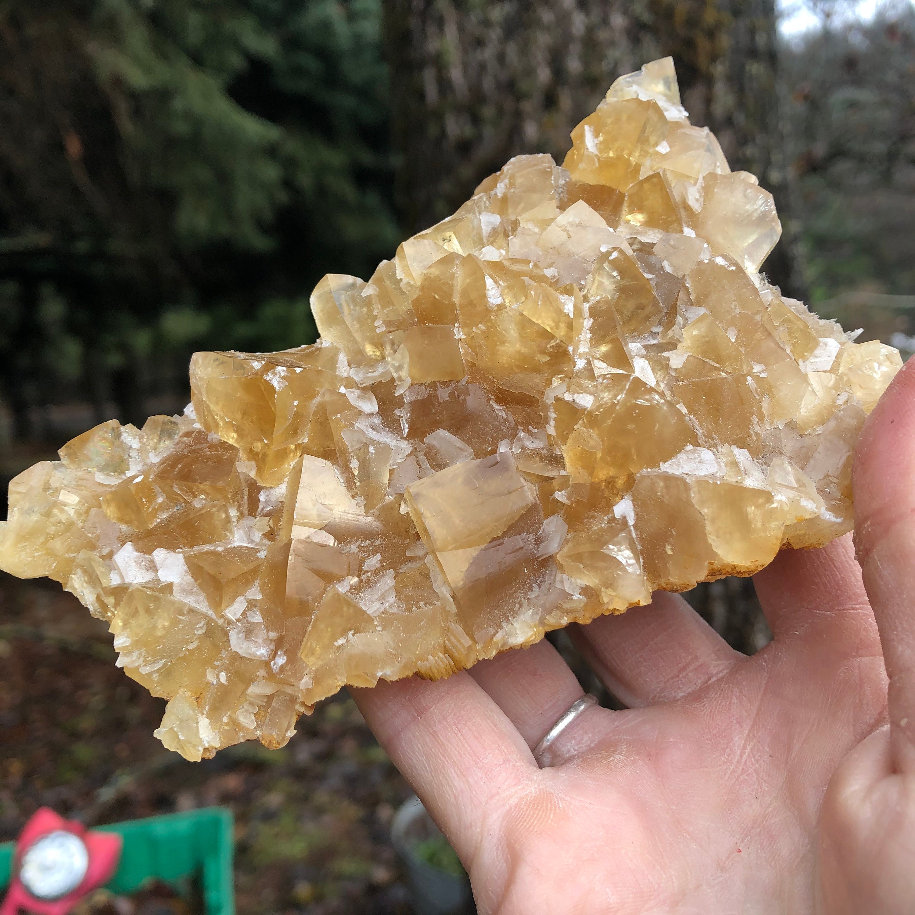 Golden Yellow Honey Cubic Calcite Crystal Cluster Specimen