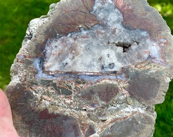 4.99 lbs Dugway Geode Thunder Egg Mineral Display Specimen Half