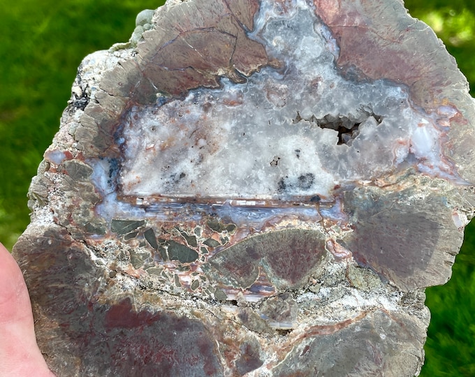 4.99 lbs Dugway Geode Thunder Egg Mineral Display Specimen Half