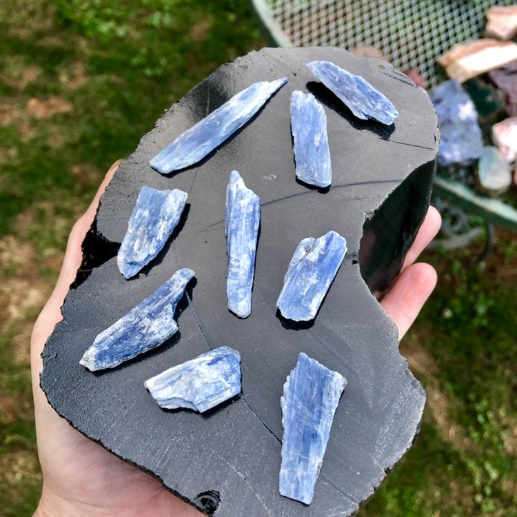9 Blue Kyanite Blades for healing energy work