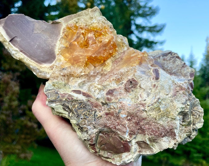 Old Stock Oregon Opal Mineral Display Specimen 8.68 lbs