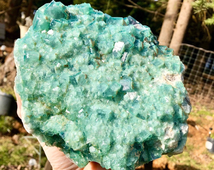 Featured listing image: 3268g Large Aqua Green Cubic Fluorite On White Quartz Crystal Cluster Specimen