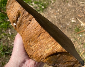 Petrified Agatized Wood End Cut Mineral Display Specimen 4.53 lbs