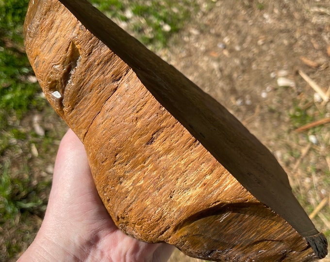 Petrified Agatized Wood End Cut Mineral Display Specimen 4.53 lbs