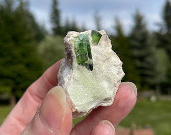 45g Green Tourmaline Crystal Cluster Specimen In Matrix