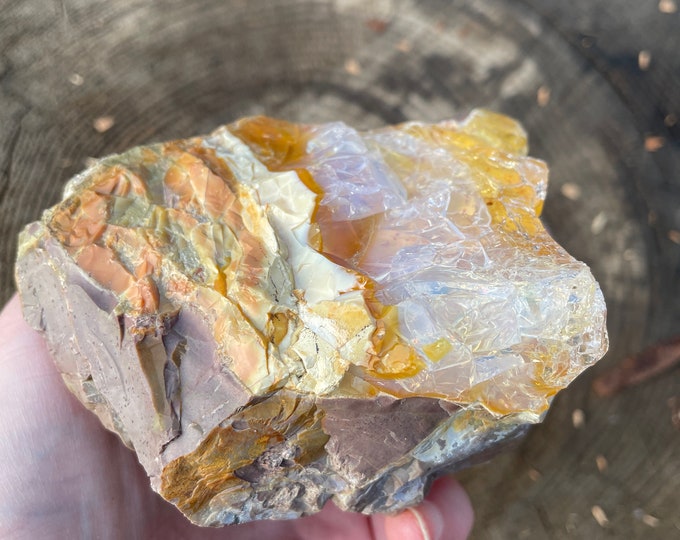 Old Stock Oregon Opal on Rhyolite Jasper Mineral Display Specimen 1.3 lbs