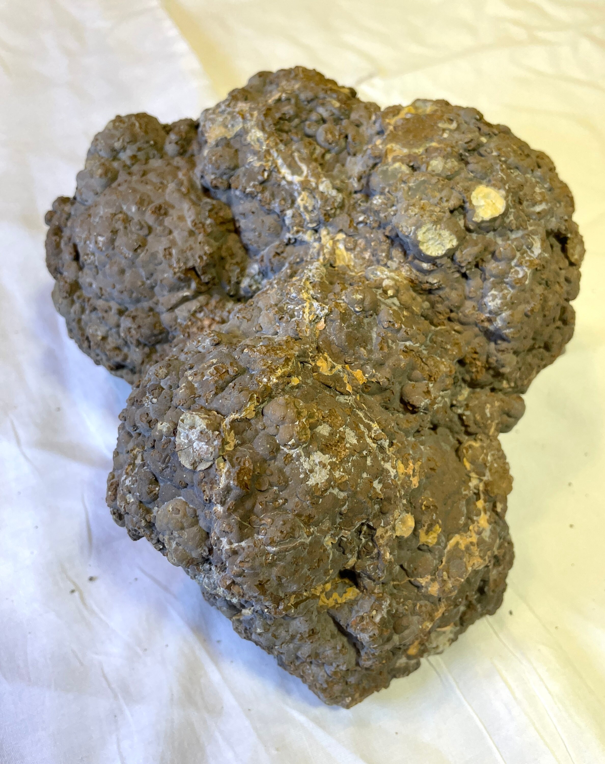 6.65 lb Huge uncut Thunder Egg from Oregon