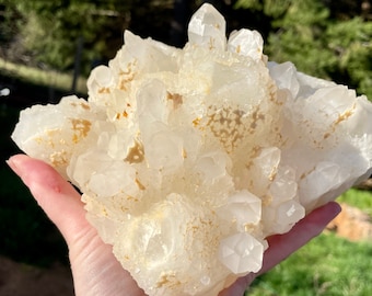 6.58 lb Pineapple Quartz Crystal Cluster Mineral Display Specimen