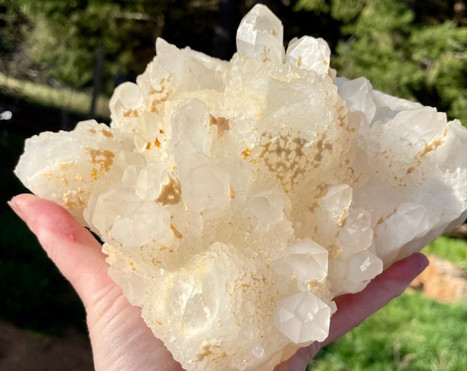 6.58 lb Pineapple Quartz Crystal Cluster Mineral Display Specimen