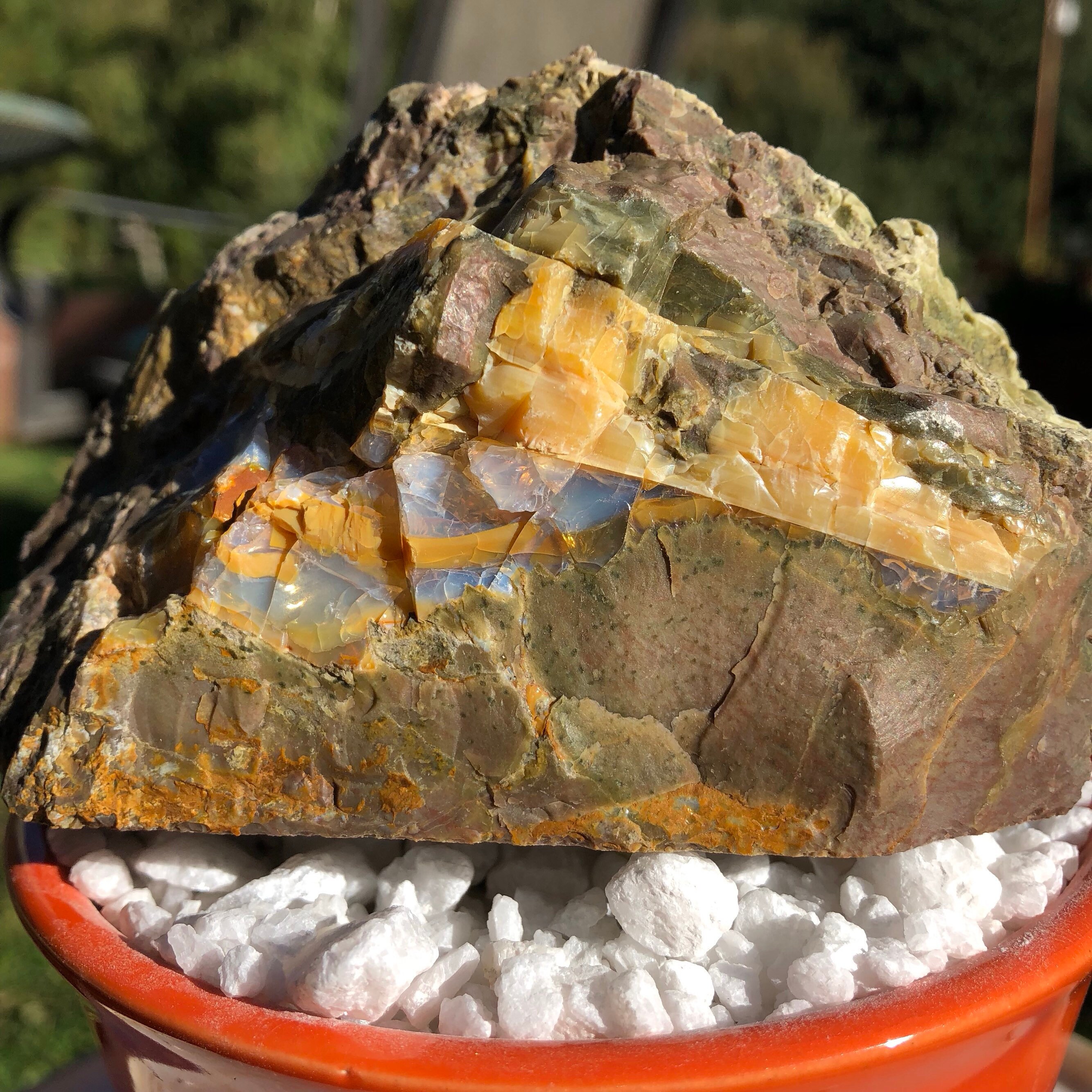 Large Oregon Opal in Rhyolite Jasper Specimen