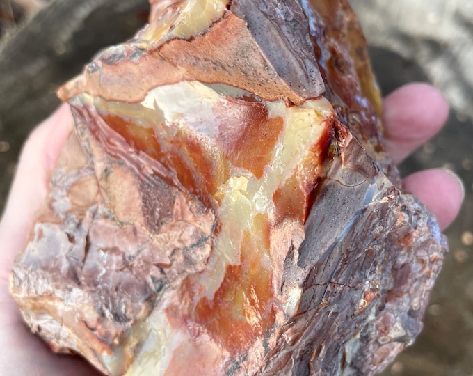 Old Stock Oregon Opal on Rhyolite Jasper Mineral Display Specimen 1.59 lbs
