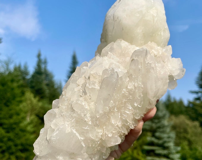 Recordkeeper Pineapple Quartz Crystal Cluster 3.58 lbs
