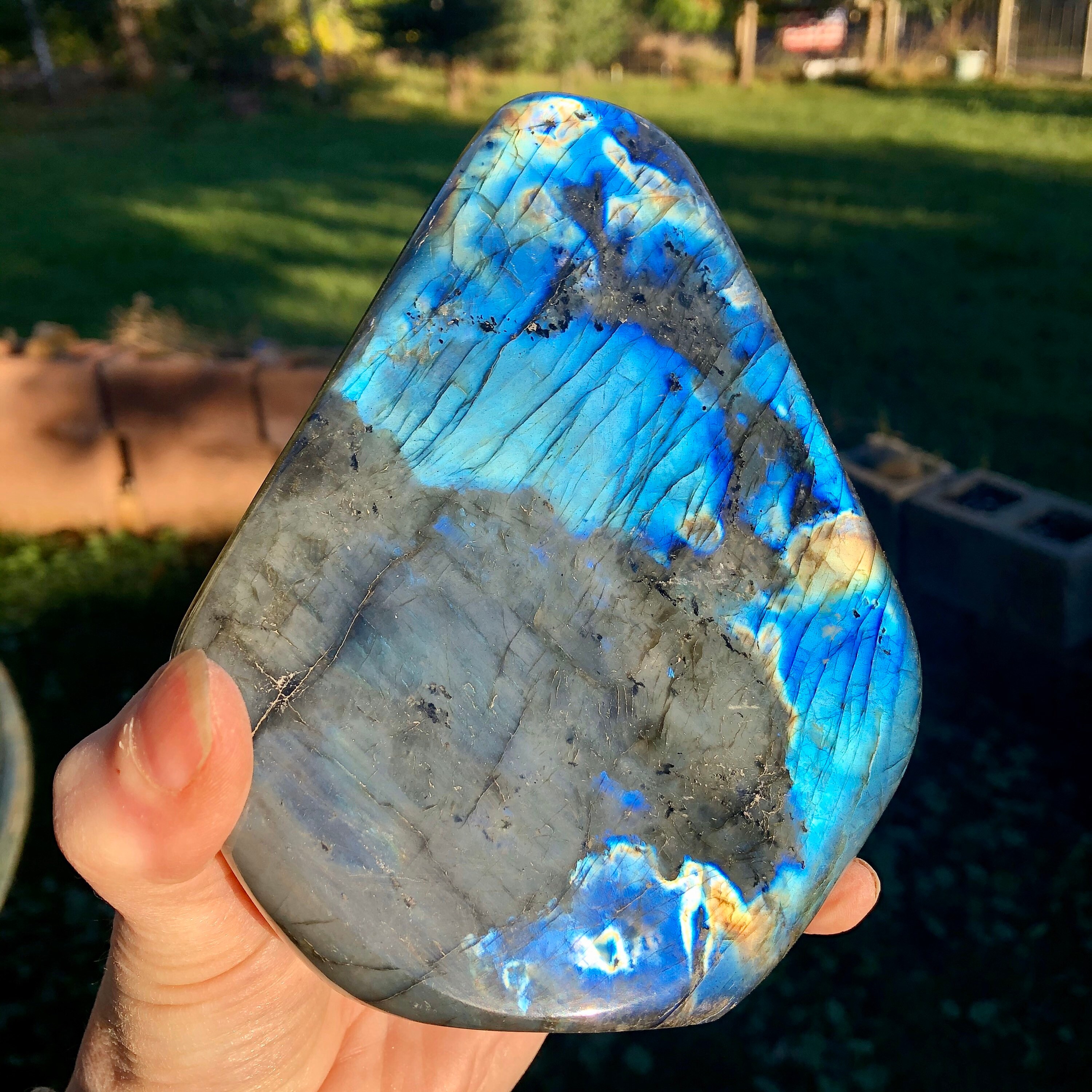1362g Blue Flash Labradorite Spectralite Standing Polished Freeform Mineral Display Specimen