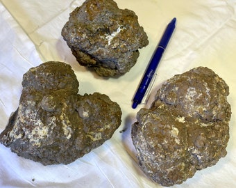 Trio of whole uncut Oregon Thunder Eggs
