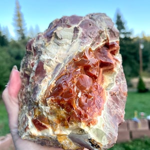 Orange Oregon Opal on Rhyolite Jasper Mineral Display Specimen 3.48 lbs
