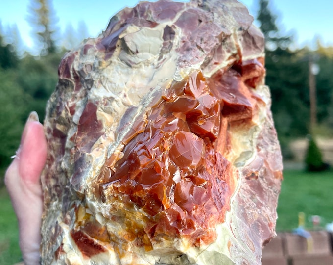 Orange Oregon Opal on Rhyolite Jasper Mineral Display Specimen 3.48 lbs