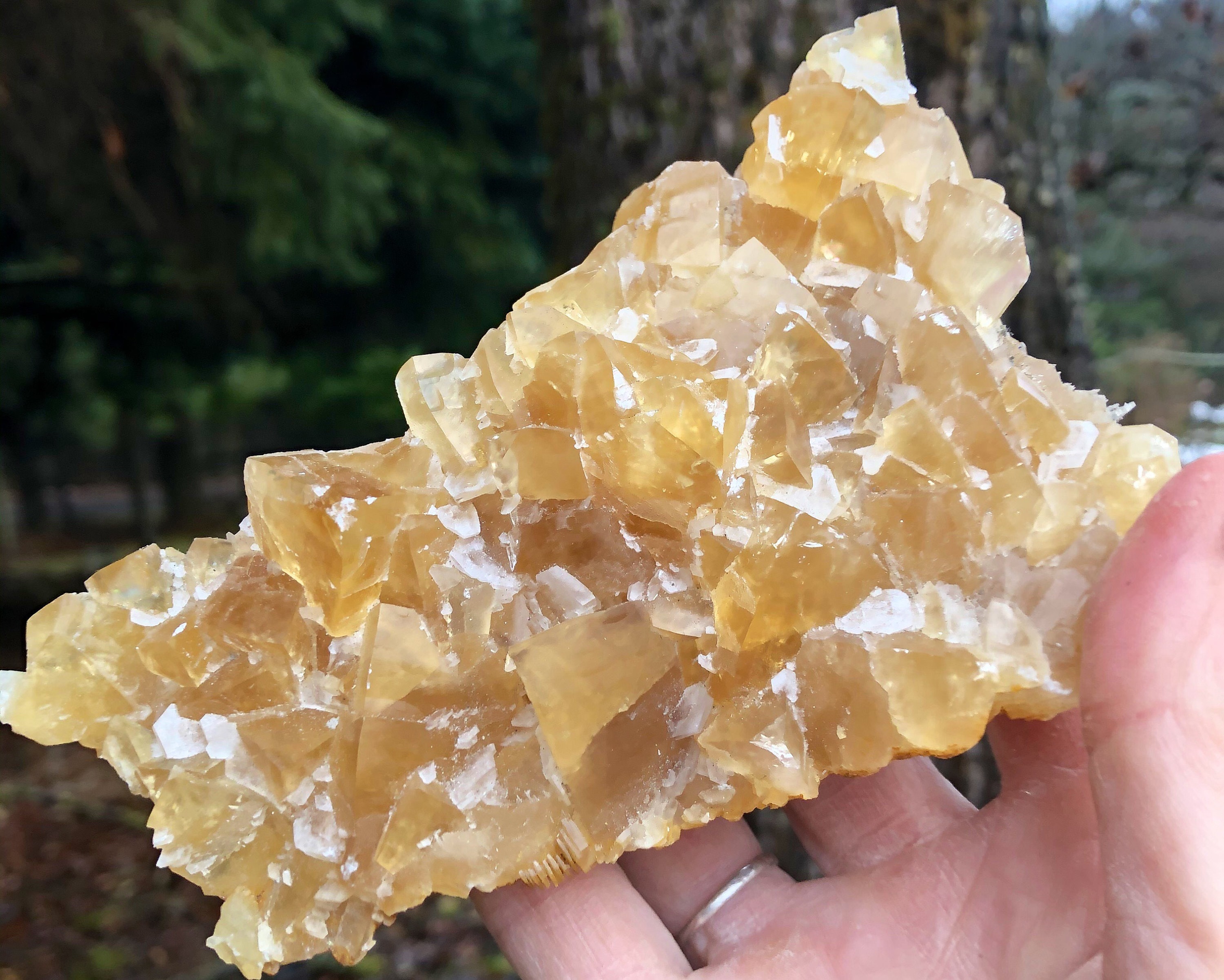 Golden Yellow Honey Cubic Calcite Crystal Cluster Specimen