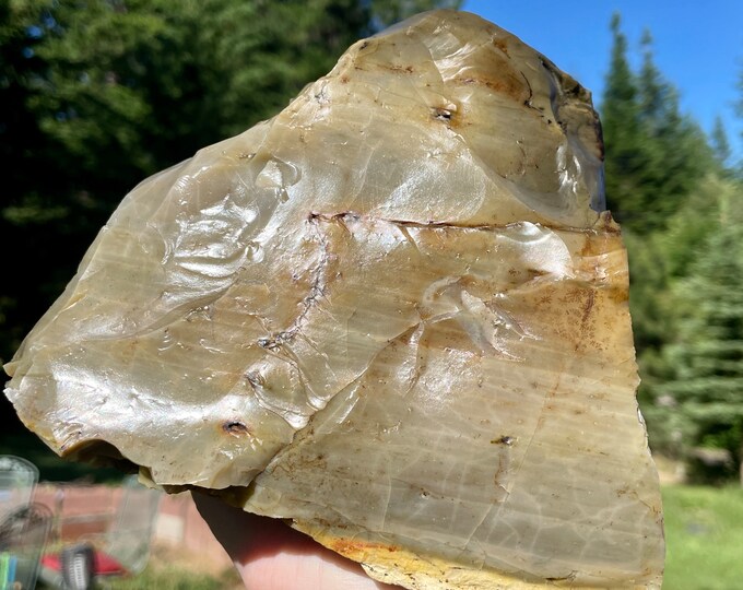 Green Opal from Virgin Valley Mineral Display Specimen 4.35 lbs