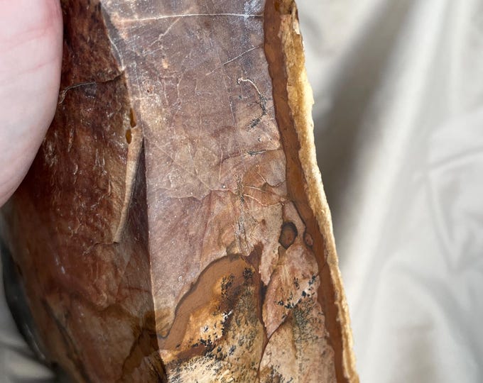 5.43 lb Biggs Picture Jasper Rough cut Lapidary Mineral Specimen