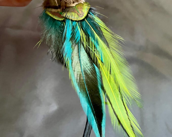 Peacock Feather Earrings with Sterling Silver Perfect Balance Earwires