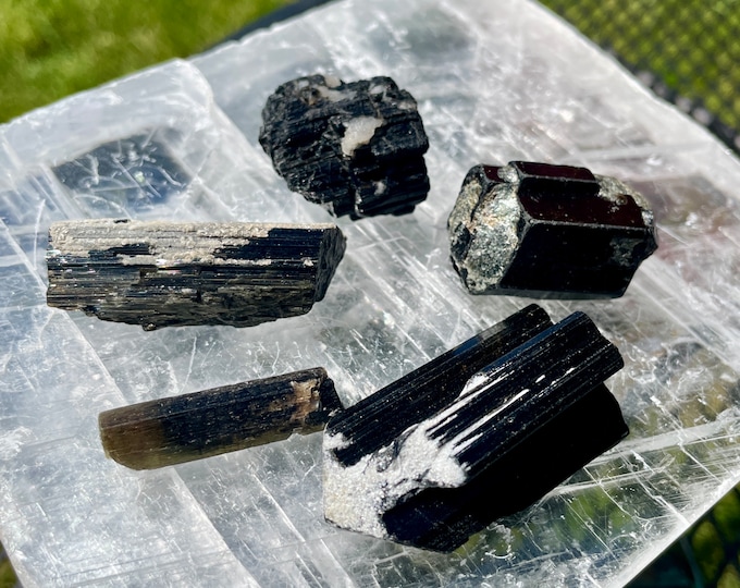 Dravite Tourmaline Mineral Display Specimens Set of 6