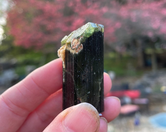 Green Cap Tourmaline Crystal 37.01 grams