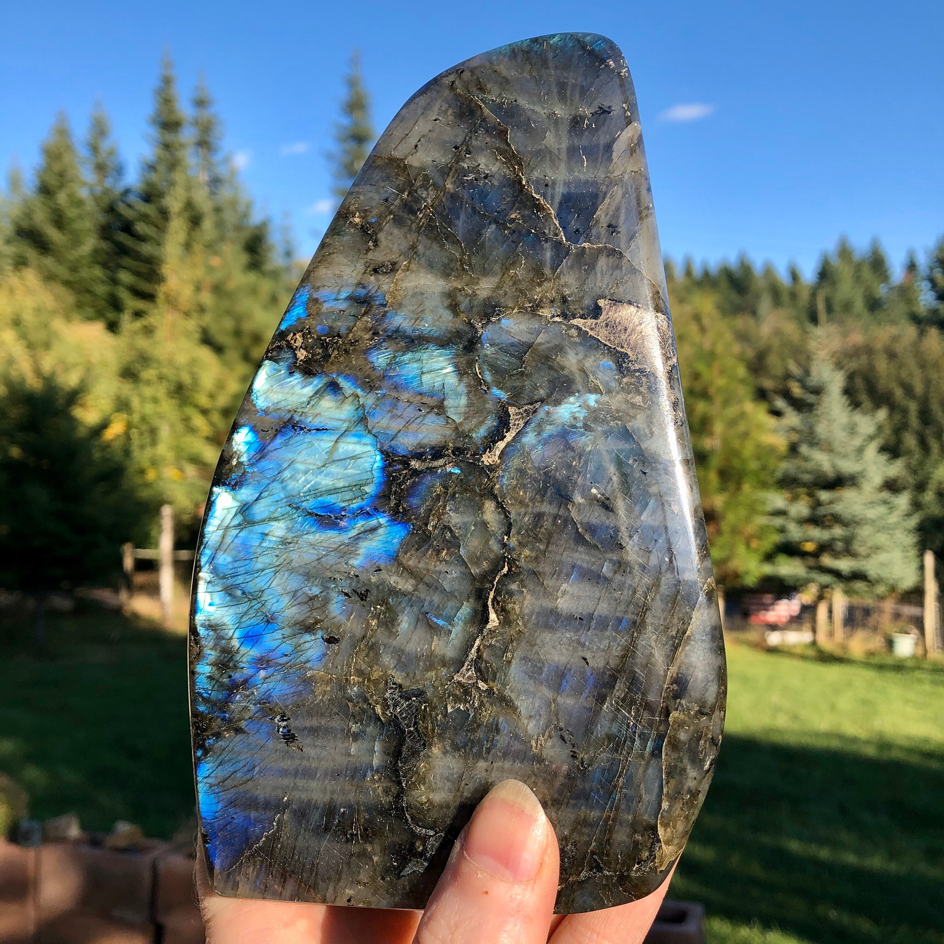 Blue flash Spectralite Labradorite standing freeform specimen