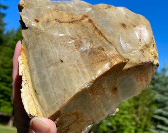 Green Opal from Virgin Valley Mineral Display Specimen 4.35 lbs