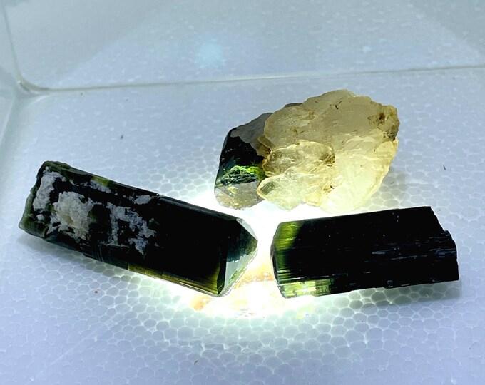 Terminated Green Cap Tourmaline Crystals Set of 3