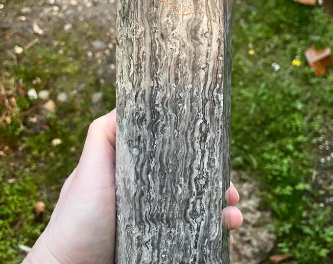 4.66 lb Picasso or Crazy Lace Jasper Obelisk Pillar Tower Point Wand Column