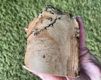 382g Biggs Picture Jasper Rough cut Lapidary Mineral Specimen