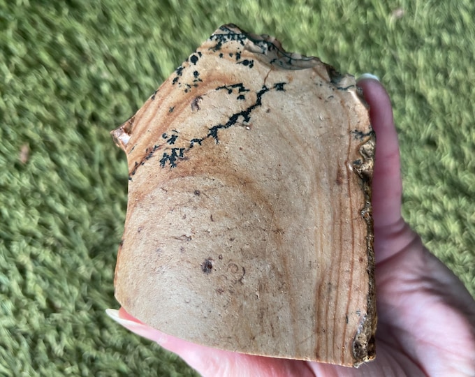 382g Biggs Picture Jasper Rough cut Lapidary Mineral Specimen