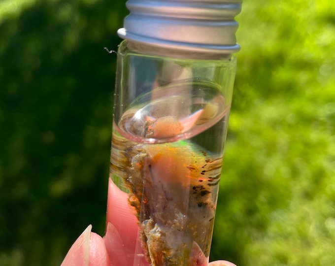 2.98g Virgin Valley Hydrophane Opal Display Specimen