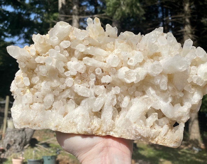 Standing Quartz Crystal Cluster Mineral Display Specimen 5.79 lbs