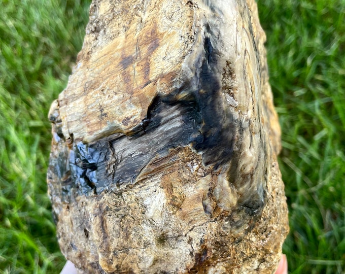 Opalized Agatized Petrified Wood Mineral Display Specimen 6.78 lbs