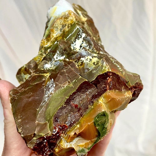 LOT 11 Oregon Opal in Rhyolite Jasper deals Mineral Display Specimens